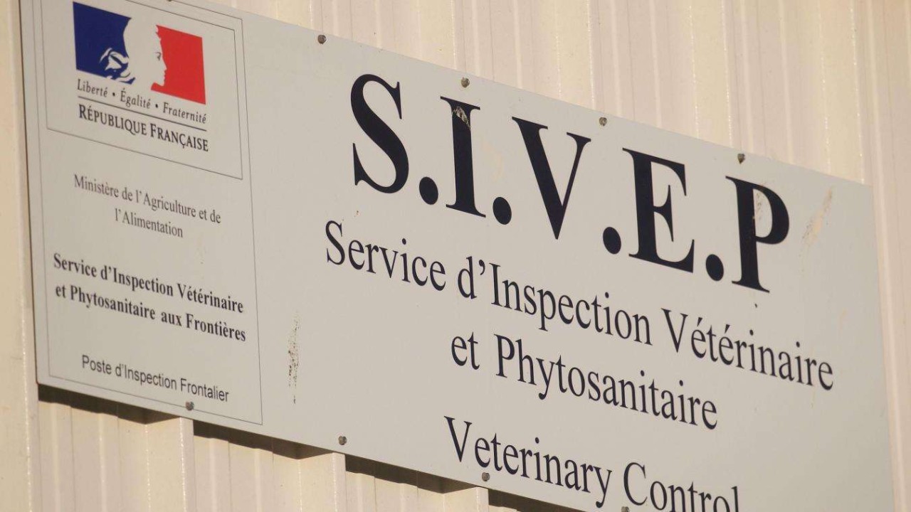 Direction Régionale De L'agriculture, De L'alimentation Et De La Forêt