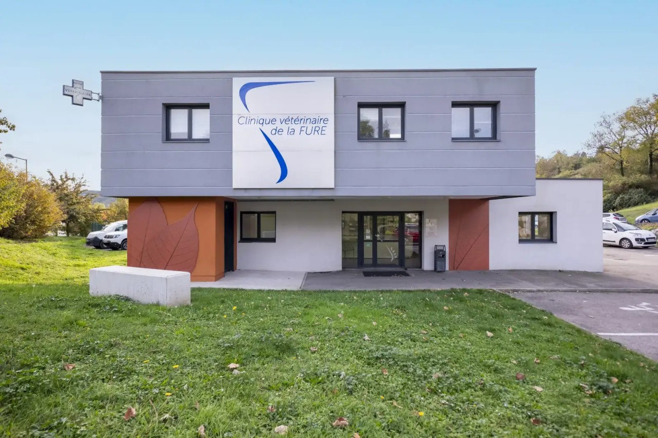 Sevetys