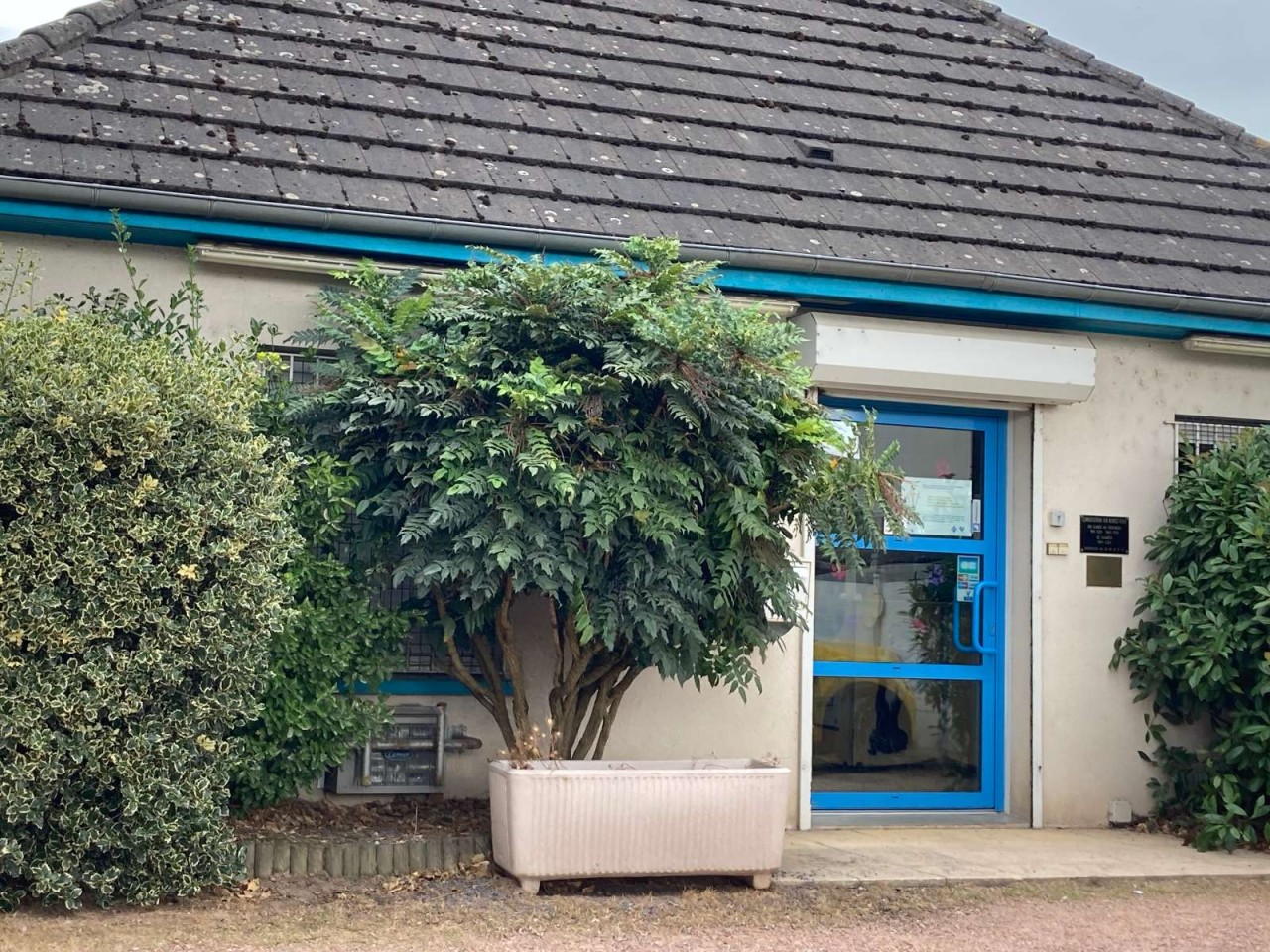 CLINIQUE VETERINAIRE DU TREIZIEME DE LIGNE