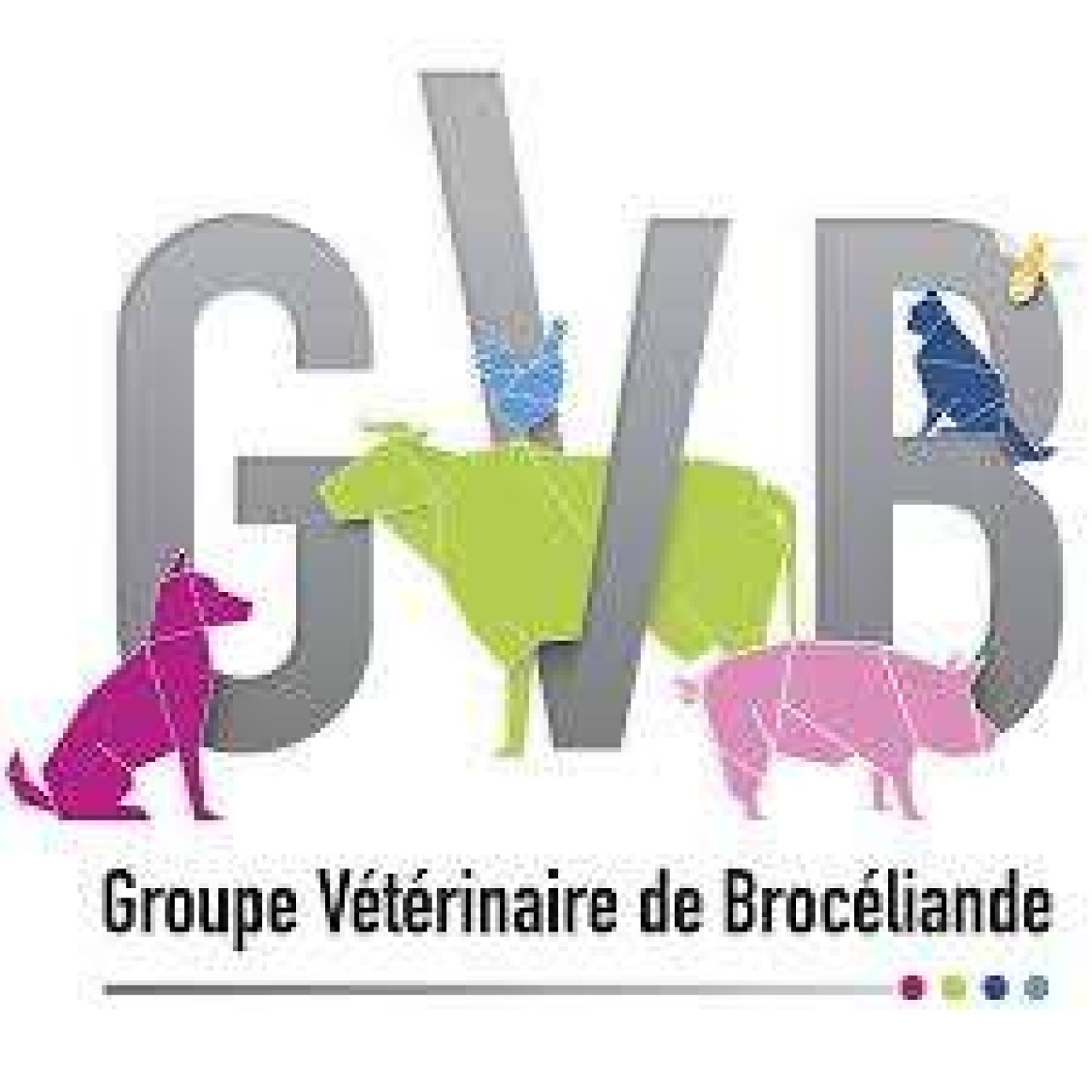 Groupe Veterinaire De Broceliande