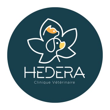 SELARL CLINIQUE DE L'HEDERA