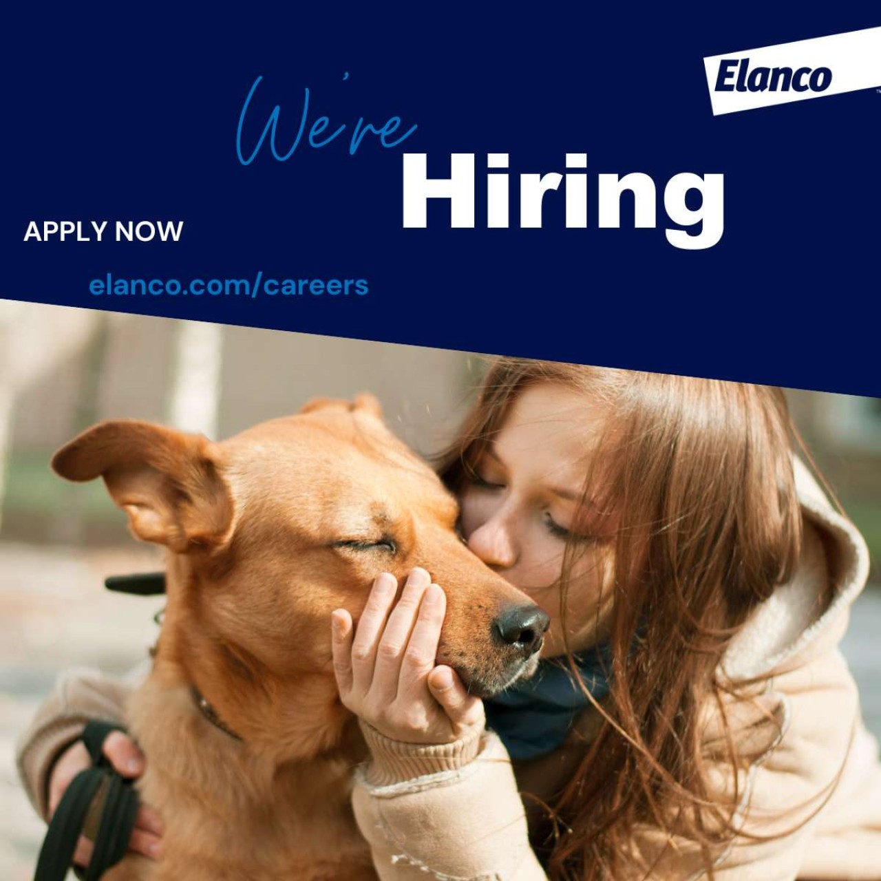 ELANCO FRANCE SAS