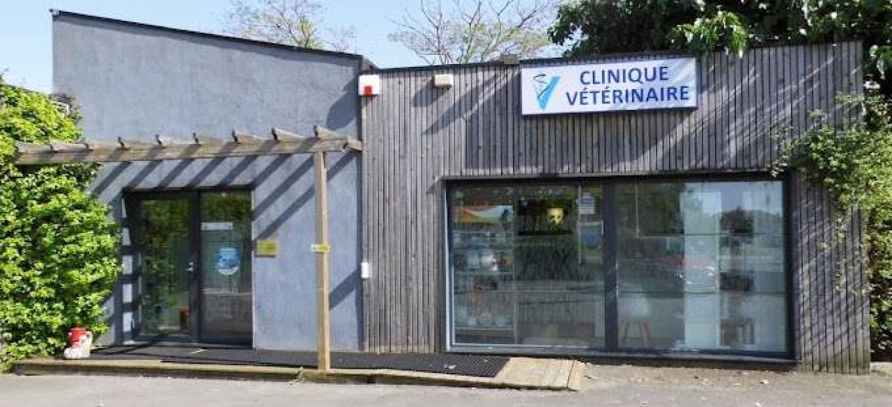 Clinique Veterinaire De L Avenir