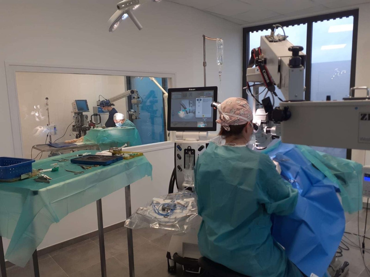 Vet Vision