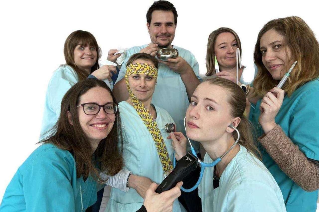 Clinique Vétérinaire Du Chien Vert