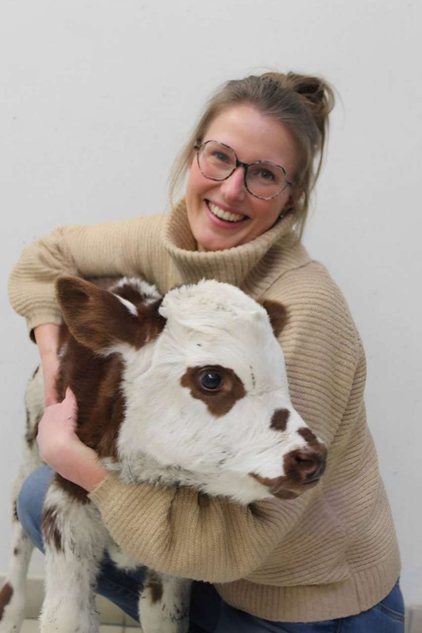Réseau Univet