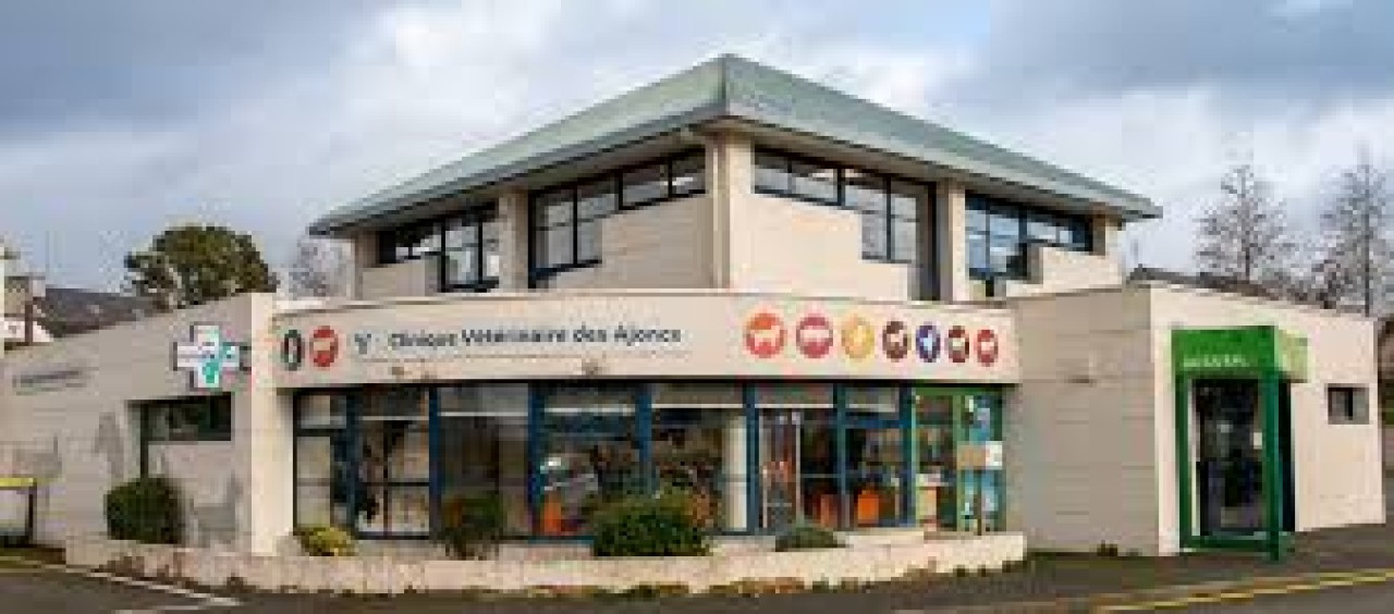 Selarl Veterinaire Des Ajoncs