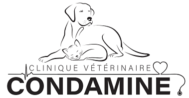 Clinique Vétérinaire De La Condamine