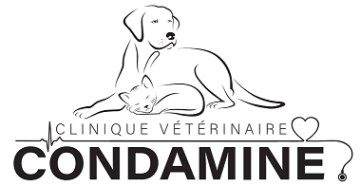 Clinique Vétérinaire De La Condamine