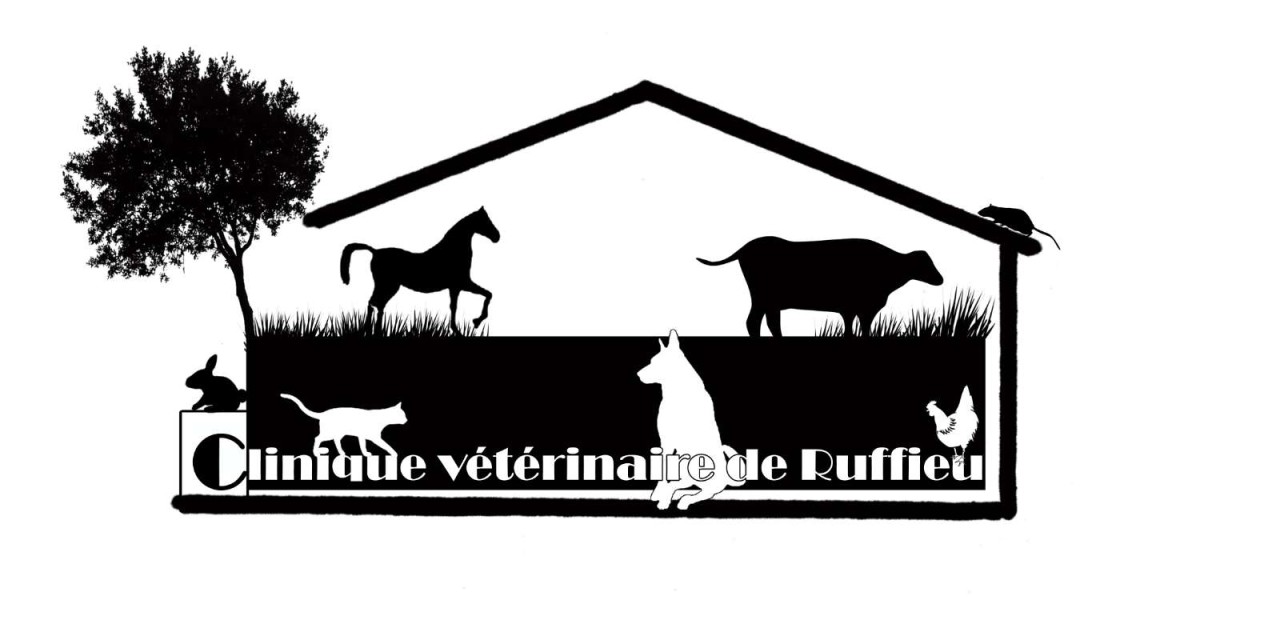 Clinique Veterinaire De Ruffieu