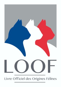 LOOF