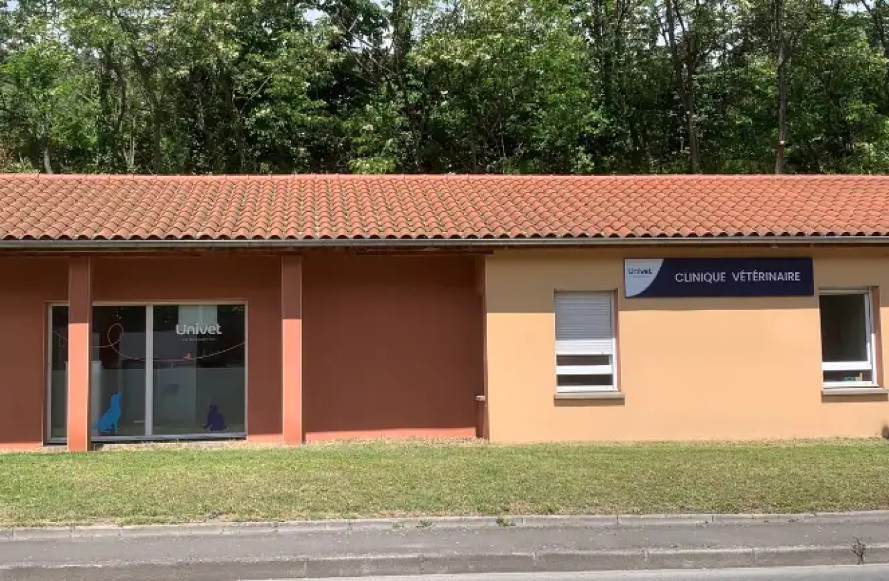 Réseau Univet