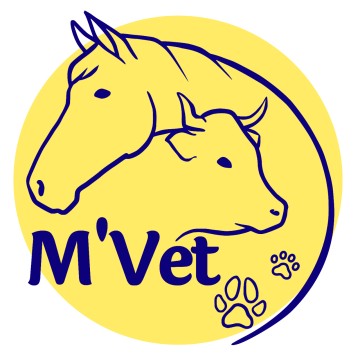 Cabinet Vétérinaire M'Vet