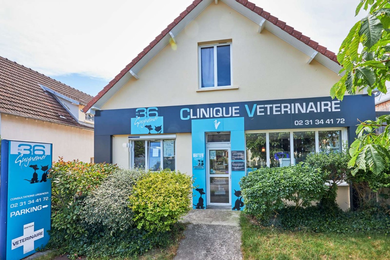 Argos Vétérinaire