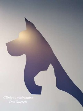 Clinique Veterinaire Des Guerets