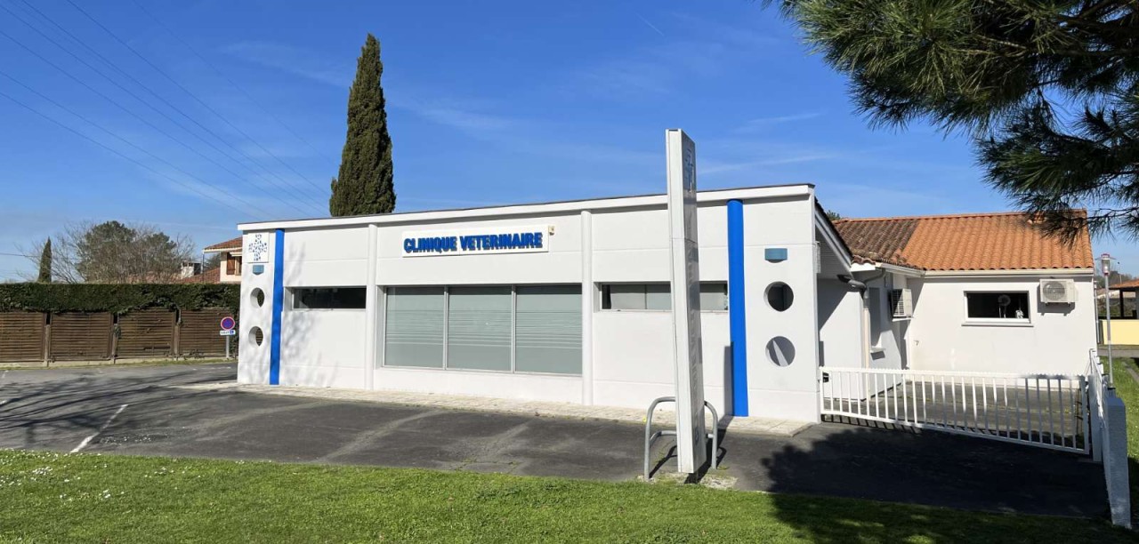Clinique Veterinaire Saint Eloi