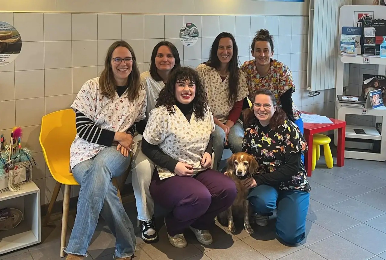 CLINIQUE VETERINAIRE HERMELAND