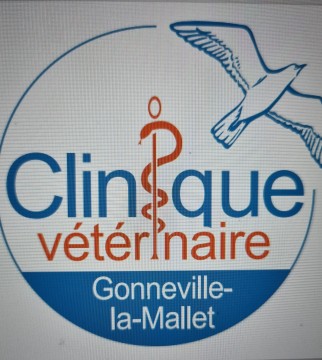 Clinique Vétérinaire De Gonneville-La-Mallet