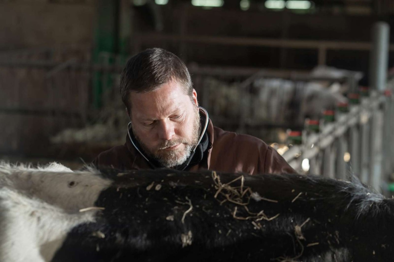 Vétérinaire mixte à dominance rurale (F/H)