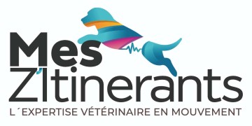 Mes Zitinerants