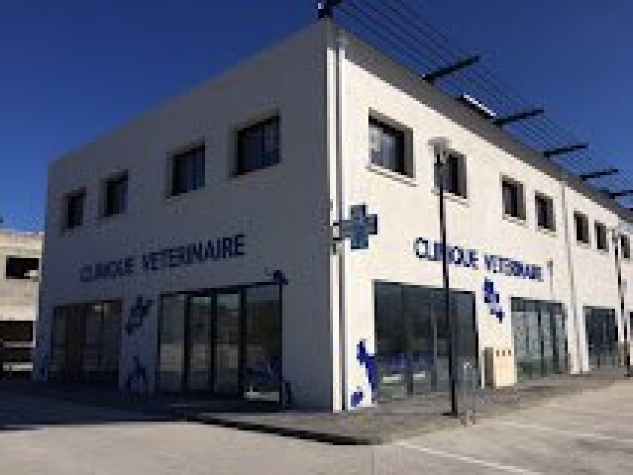 Clinique A Stella