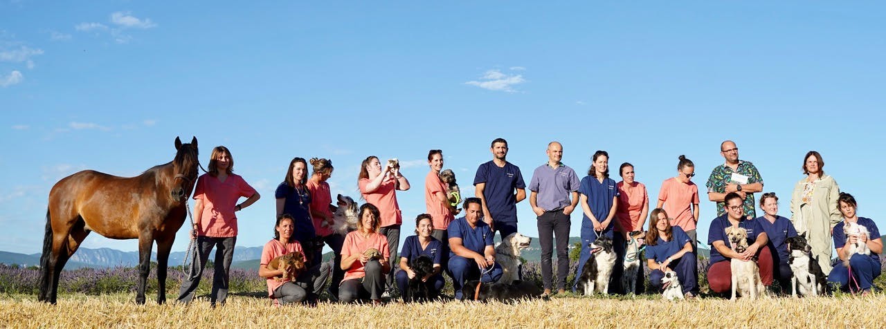 Clinique Veterinaire Des Lavandes