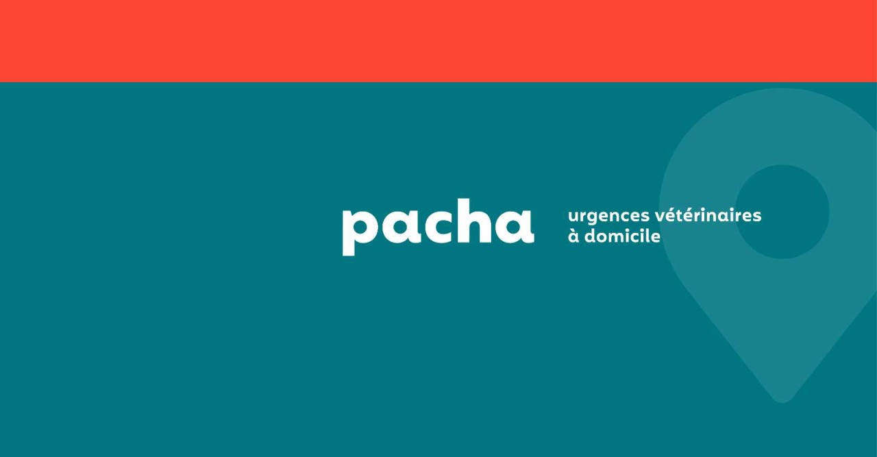 Pacha, urgences vétérinaires à domicile