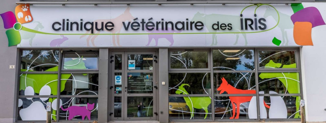 Cliniques Vétérinaires Des Iris Et De L'océan