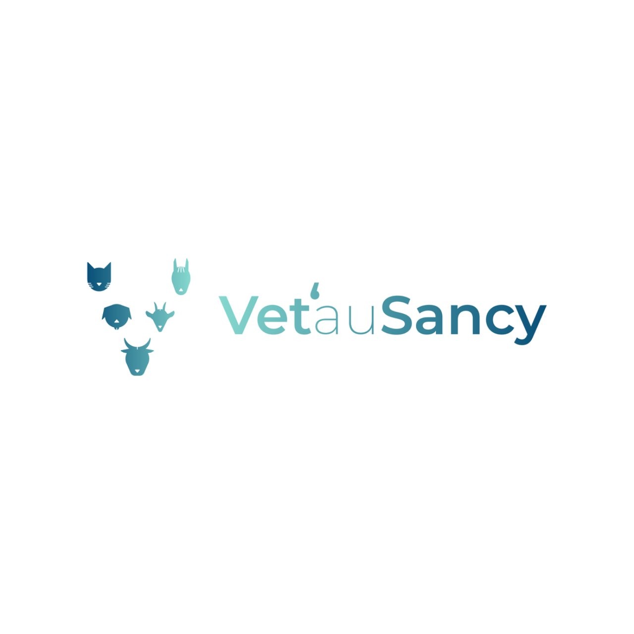 Selarl Vet’Au Sancy