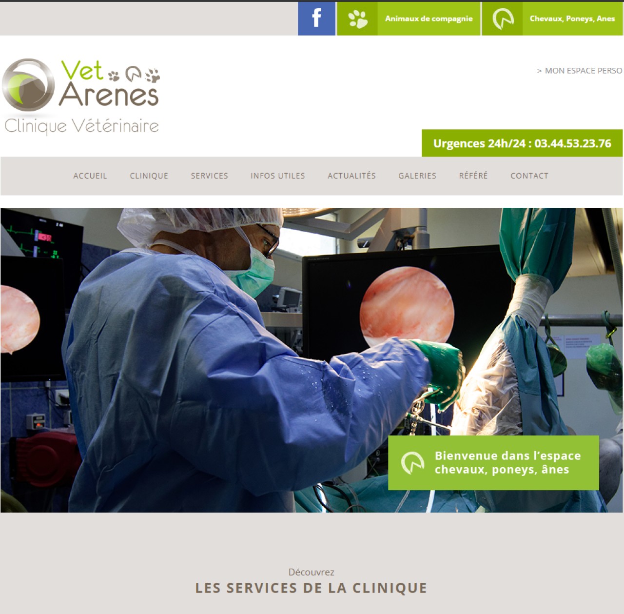 CLINIQUE VETERINAIRE DES ARENES POLE EQUIN