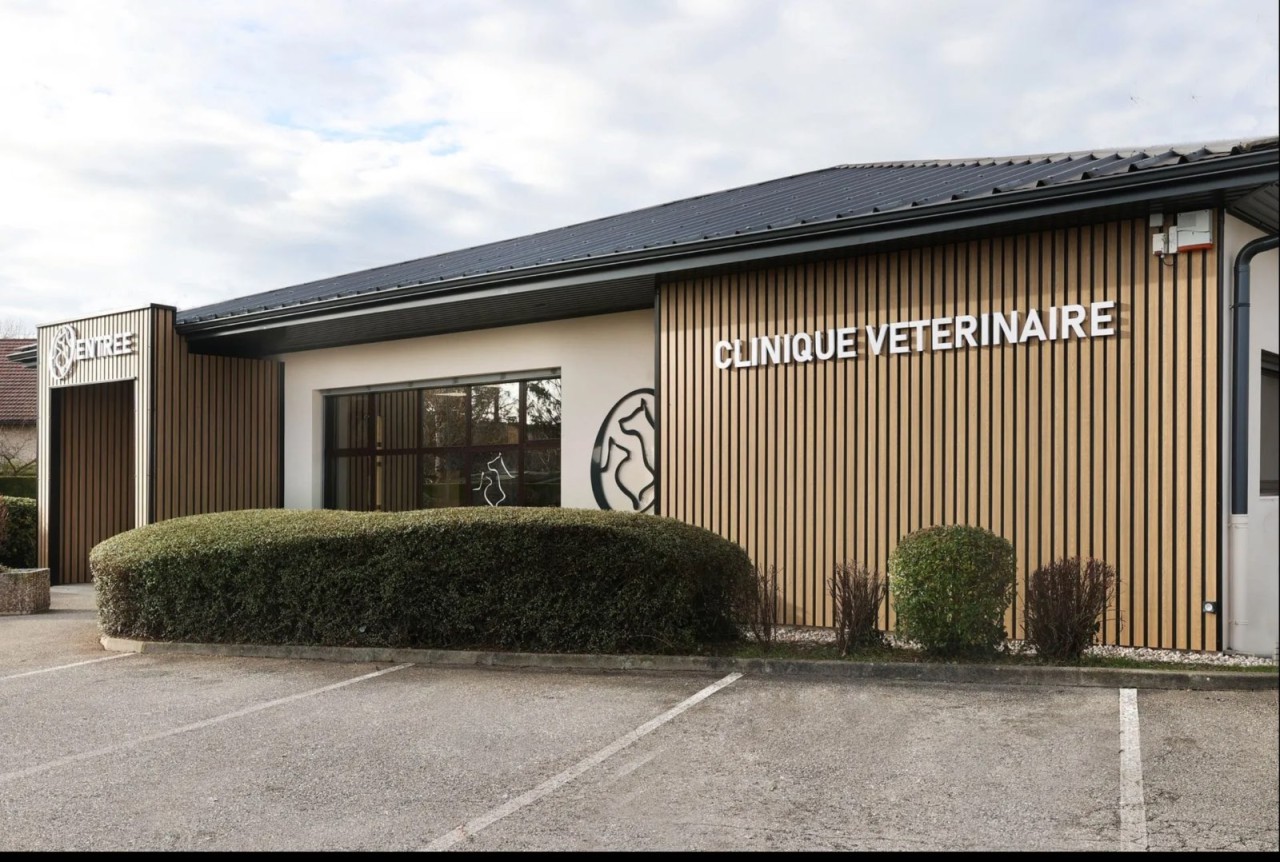 Onevet