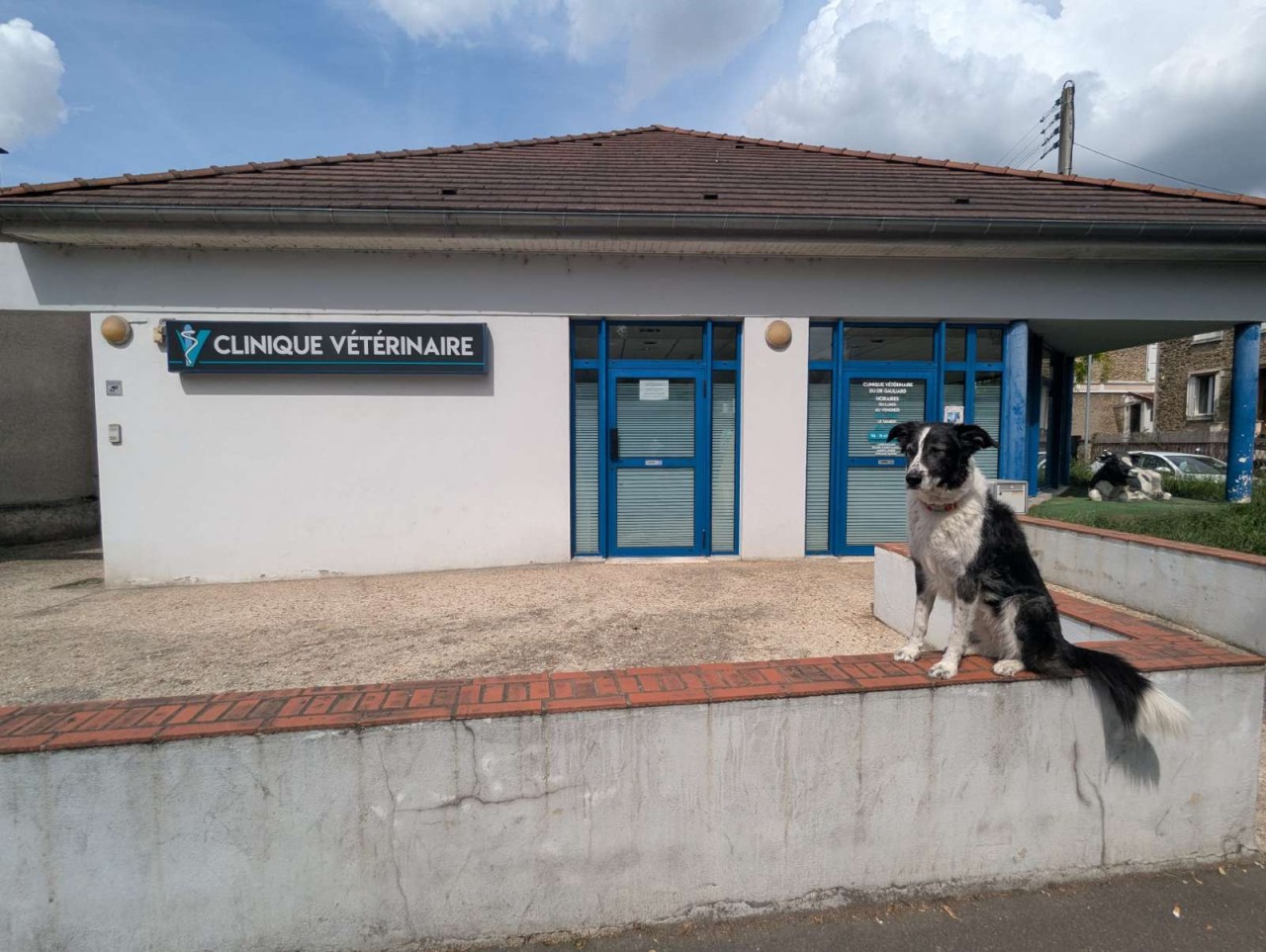Clinique vétérinaire du Dr Gauliard à Villeneuve-Saint-Georges
