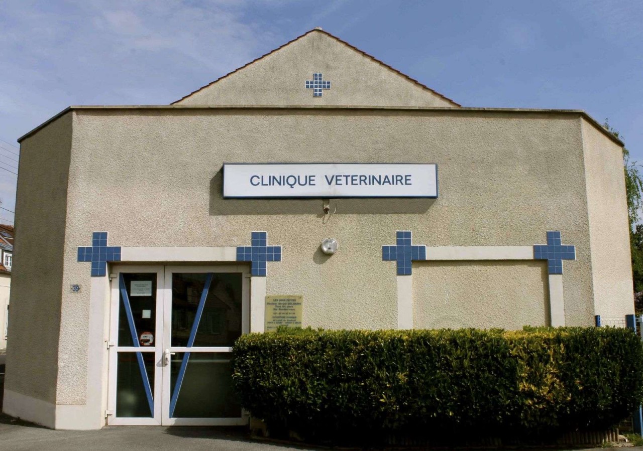 Clinique des Mille Pattes