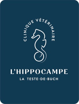 Clinique Veterinaire De L'hippocampe