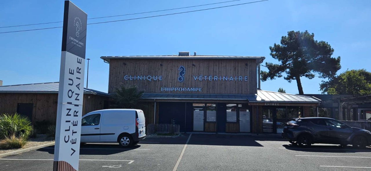 Clinique Veterinaire De L'hippocampe