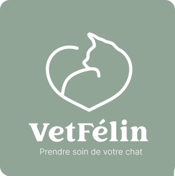 CLINIQUE VETERINAIRE VETFÉLIN