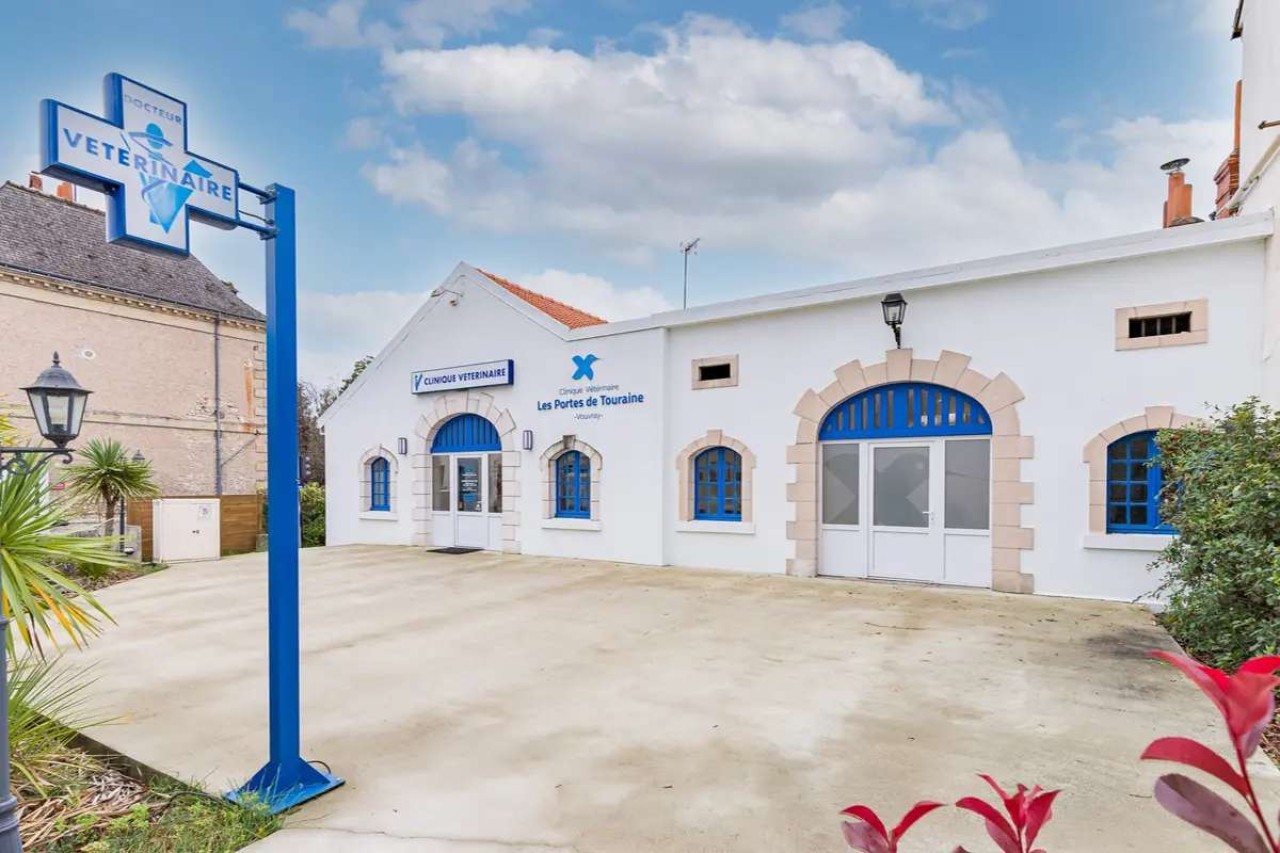 Sevetys