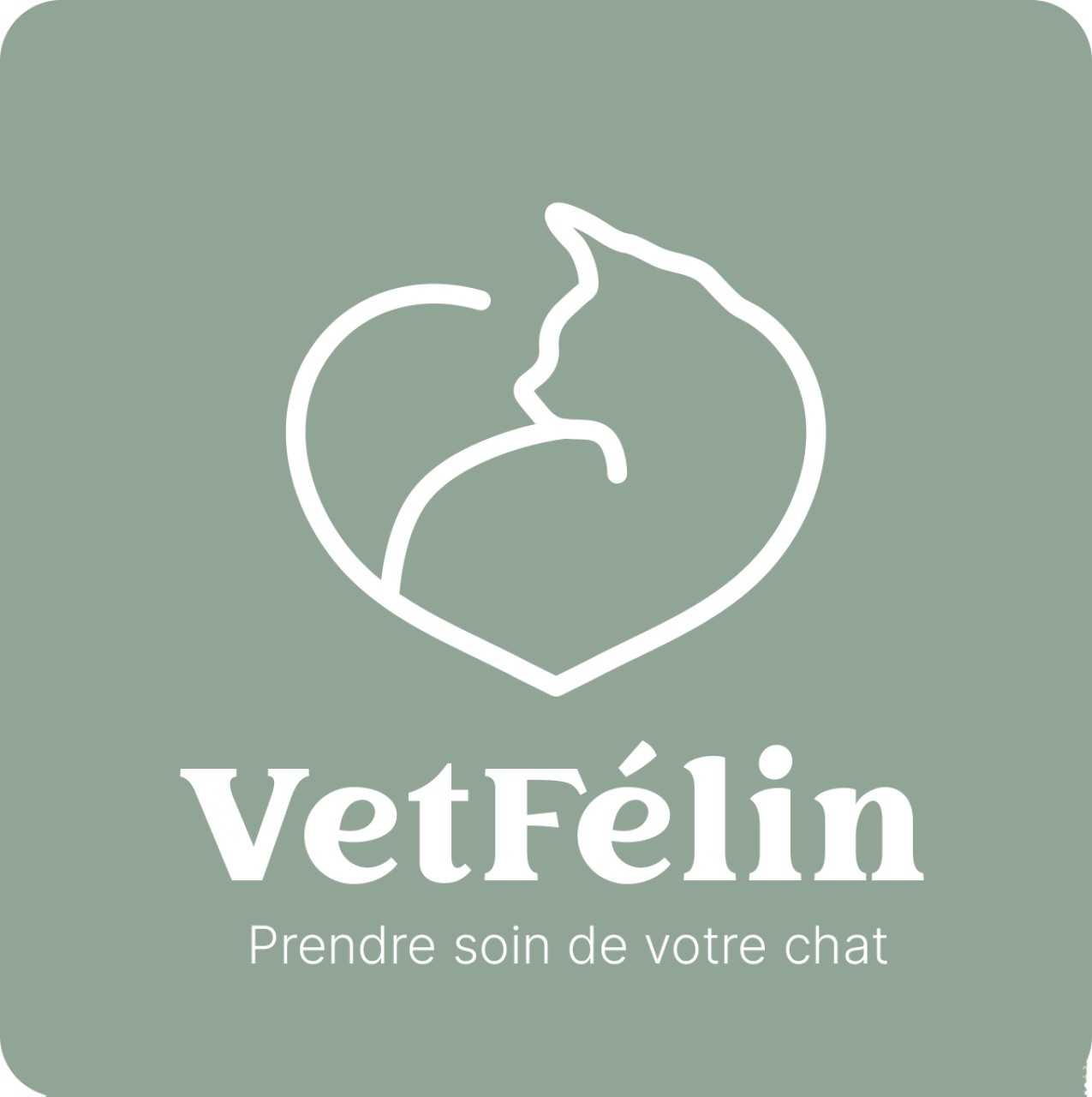 CLINIQUE VETERINAIRE VETFÉLIN