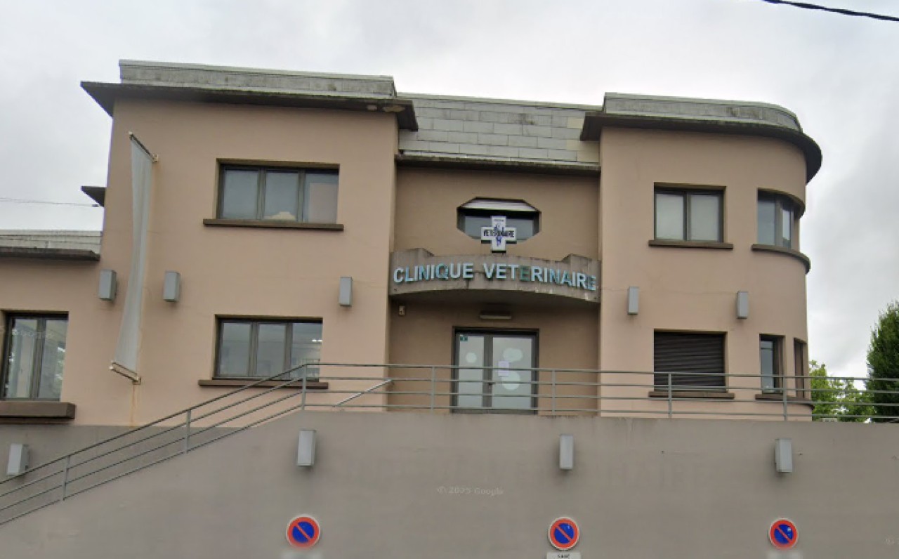 IVC EVIDENSIA France