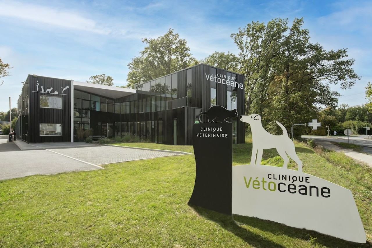 Clinique Vetoceane