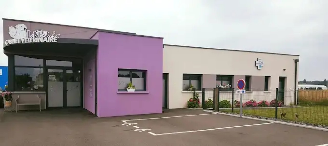 Lnvet