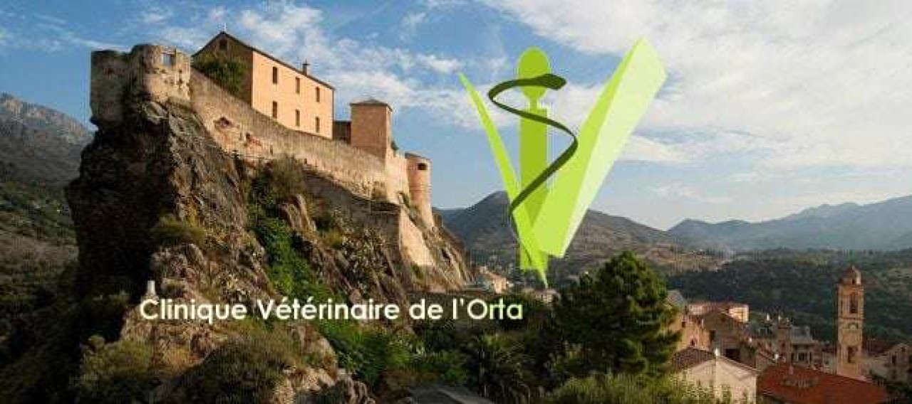 Clinique vétérinaire de l'Orta