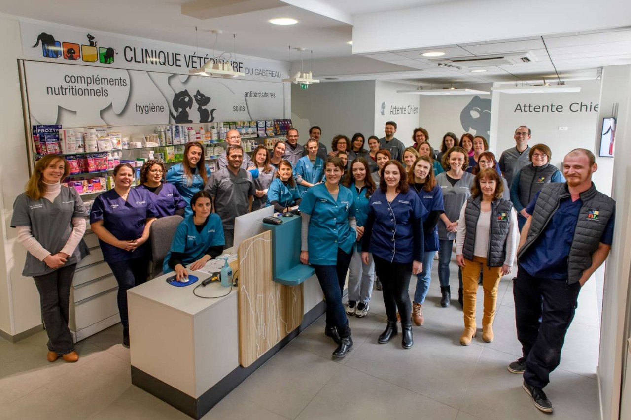 Selarl Clinique Veterinaire Du Gabereau