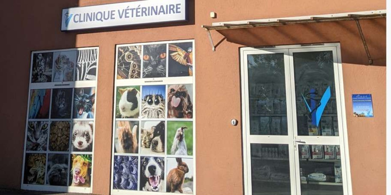 Clinique Vétérinaire Du Tiragon