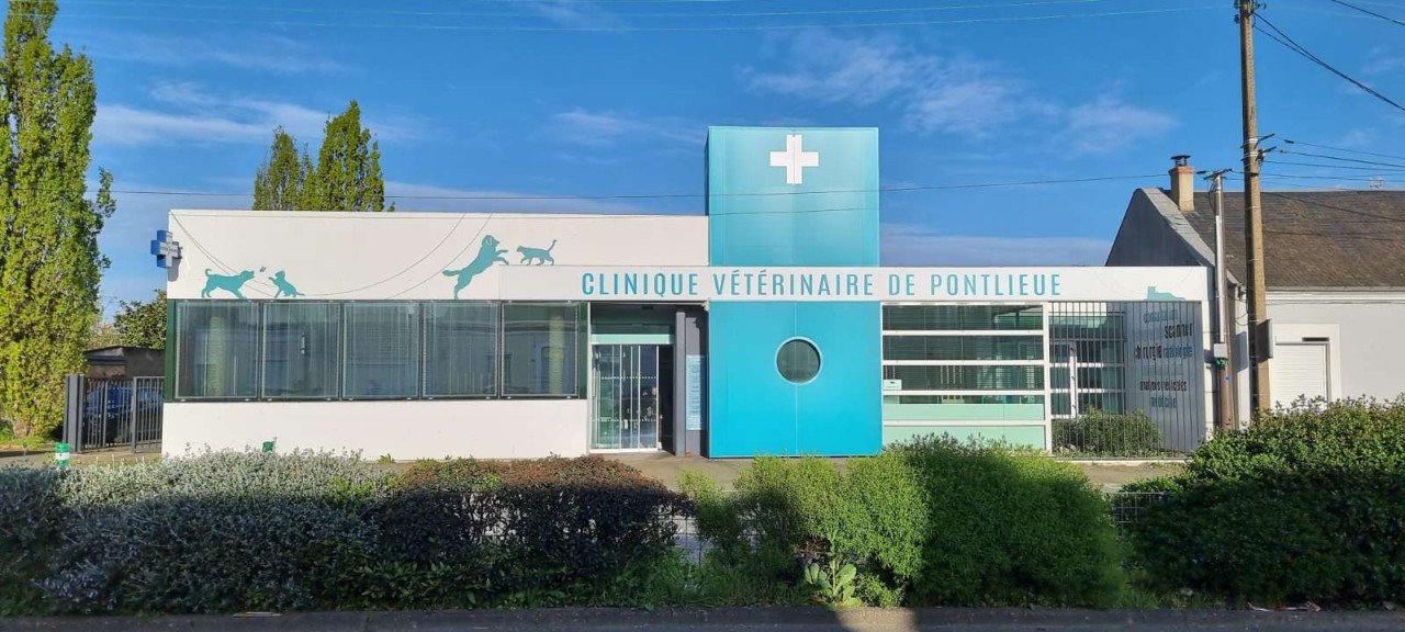 Clinique Vétérinaire De Pontlieue
