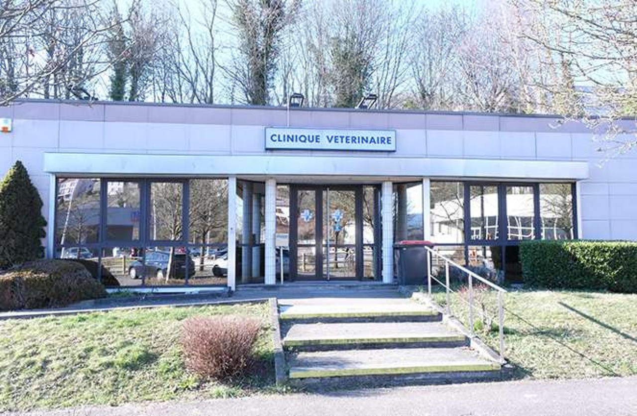 Réseau Univet