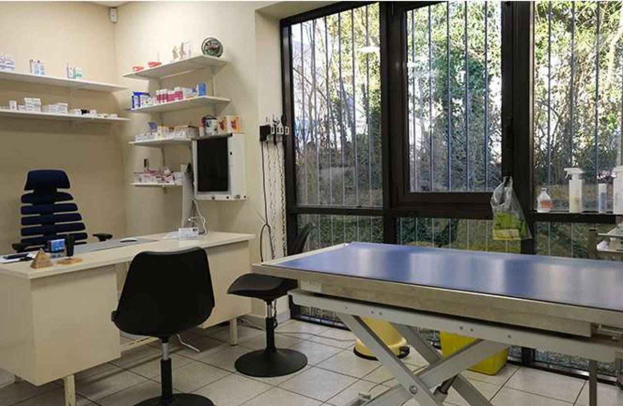 Vétérinaire remplaçant - Longwy (54) (F/H)