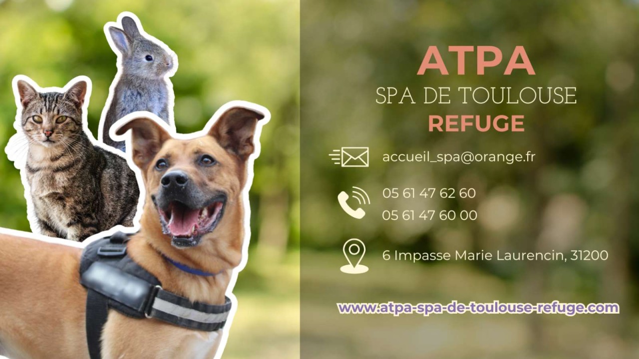 ATPA SPA de Toulouse 