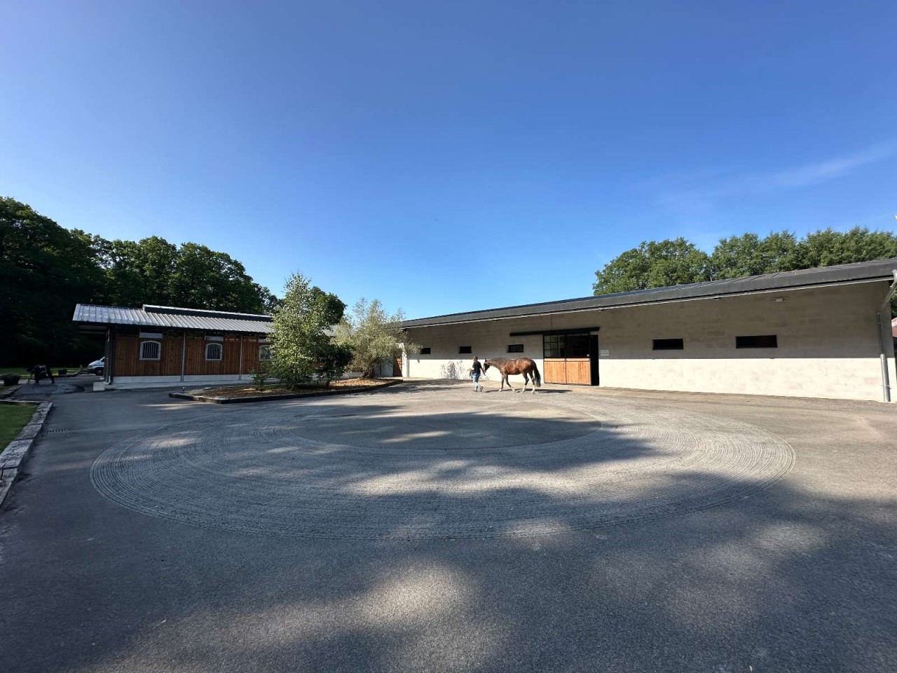 Clinique Équine Des Bréviaires