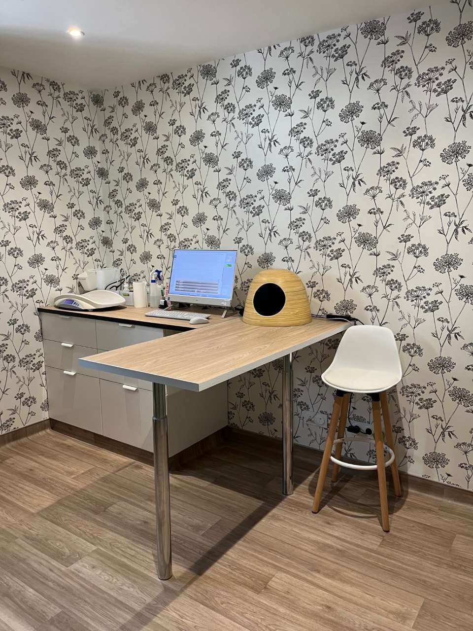 Clinique Veterinaire Clement V